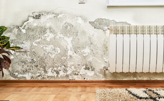 Pintura después de daños por agua